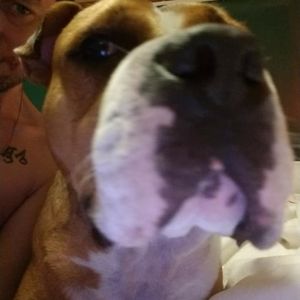 Meet your Posher, William